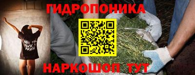 прущие крисы Волжский
